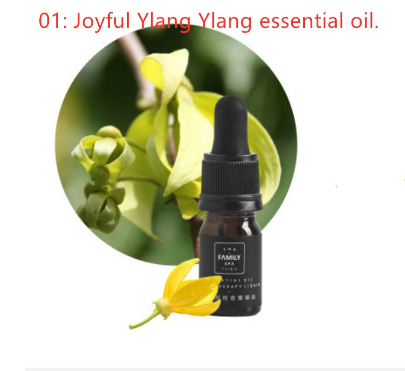 High-end Aromatherapy Decoration Plant Essential Oil Crystal Aromatherapy Stone
